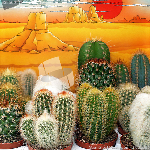 Image of Cactus