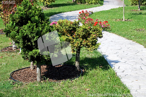 Image of Garden detail