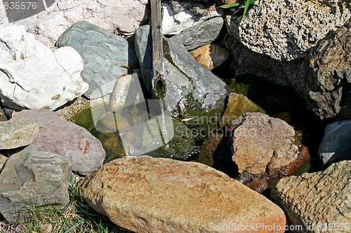 Image of Zen spring