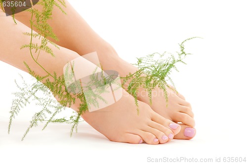 Image of female feet with green plant