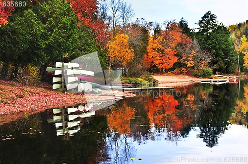 Image of Fall forest reflections with canoes