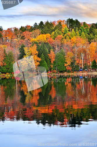 Image of Fall forest reflections