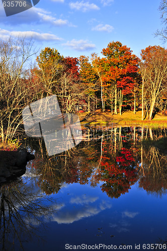 Image of Fall forest reflections