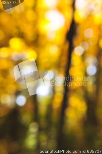 Image of Fall background