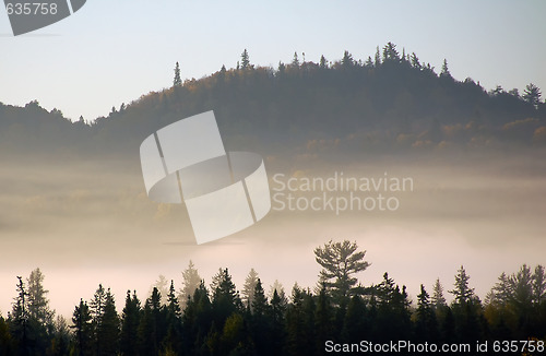 Image of An autumn's landscape with fog