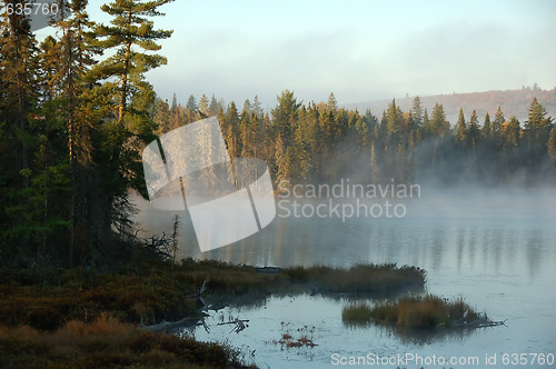 Image of An autumn's landscape with fog
