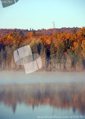 Image of An autumn's landscape with fog