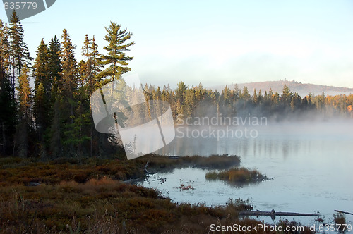 Image of An autumn's landscape with fog