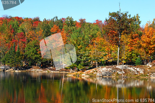 Image of An autumn's landscape