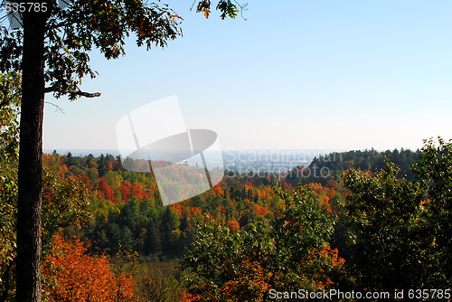 Image of An autumn's landscape