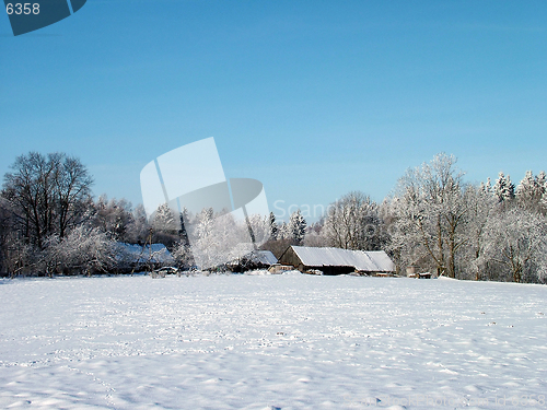 Image of House near forest