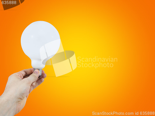 Image of White bulb