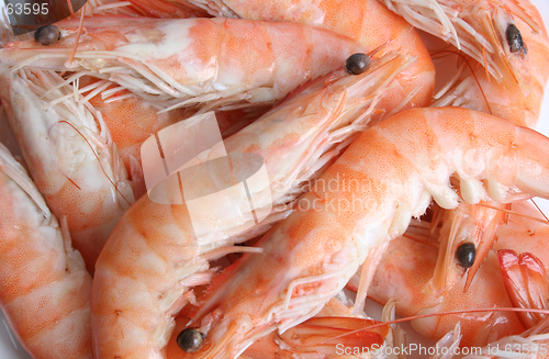 Image of Fresh prawns