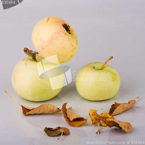 Image of Three small apples and dried up leaves