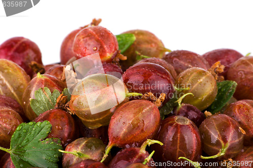 Image of Gooseberries macro with white background