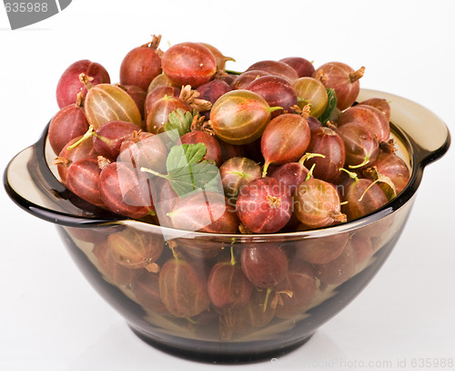 Image of Gooseberries in bowl on light background