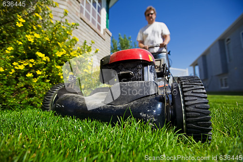 Image of Mow the lawn