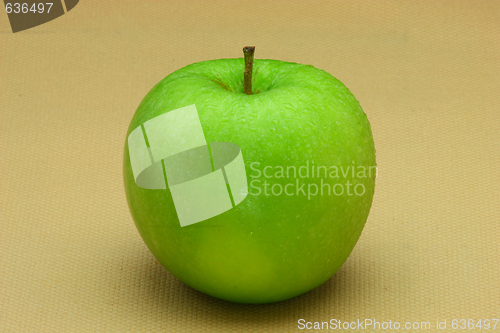 Image of fresh green apple