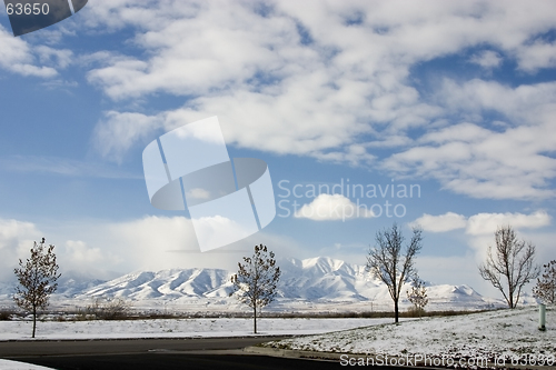 Image of Trees, Snow and the Mountains