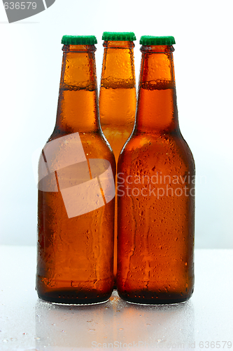 Image of Bottles of Beer