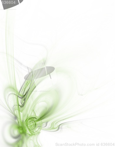 Image of floral