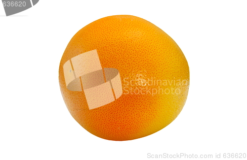 Image of orange isolated on a white background