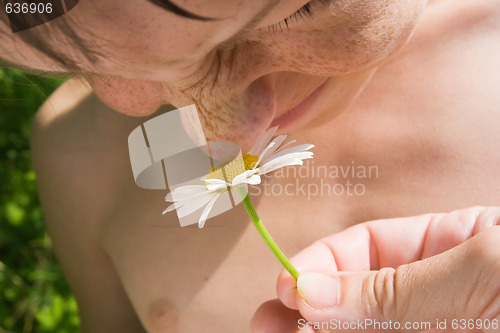 Image of smell of summer
