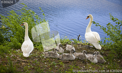 Image of Happy family