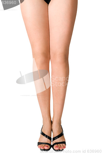 Image of Legs