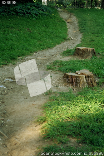 Image of sinuous path