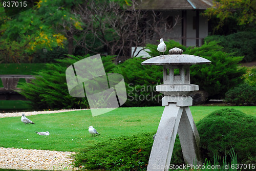 Image of Japanese Garden