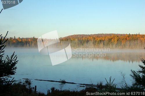 Image of An autumn's landscape with fog
