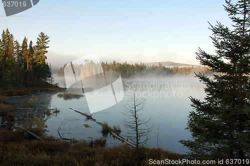 Image of An autumn's landscape with fog