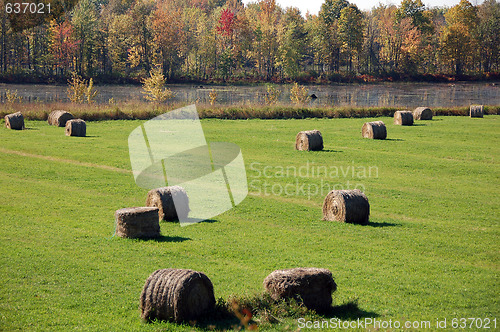 Image of An autumn's landscape with fog