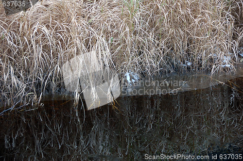 Image of Autumn's reflection