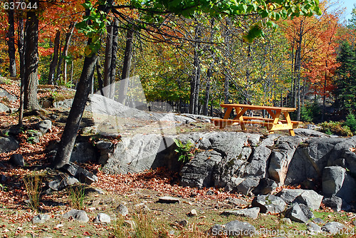 Image of An autumn's landscape