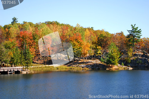 Image of An autumn's landscape 