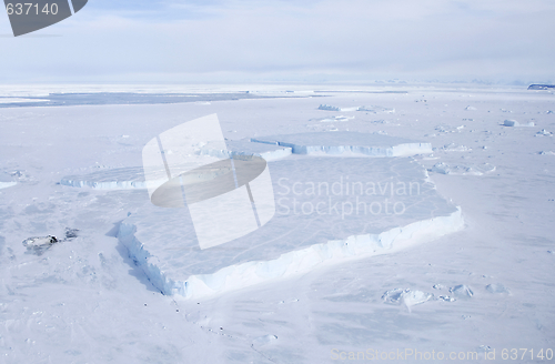 Image of Icebergs on Antarctica