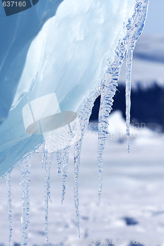 Image of Icicles