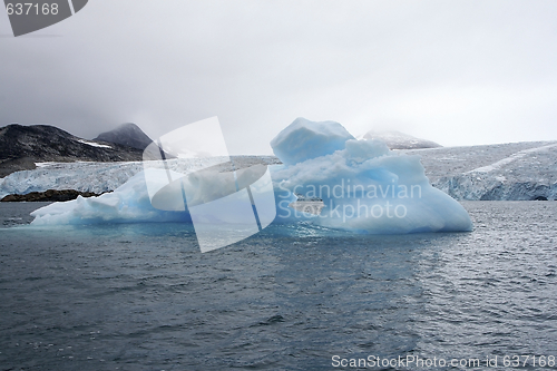 Image of Iceberg in Arctic waters