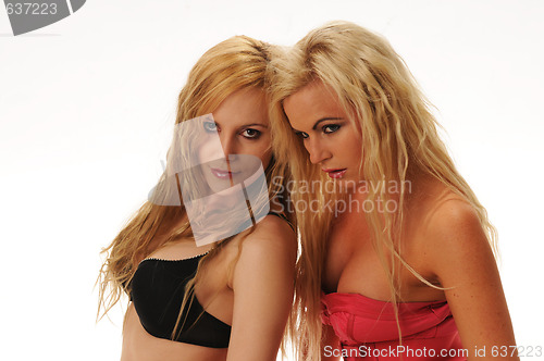 Image of Blondes