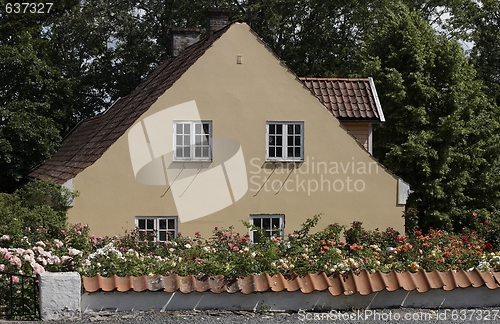 Image of Old house with rose garden
