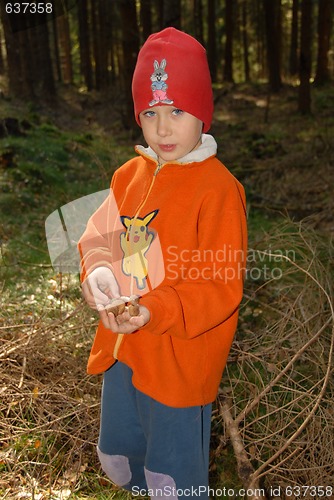 Image of boy and mushrooms