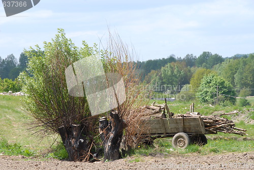 Image of Old farm cart