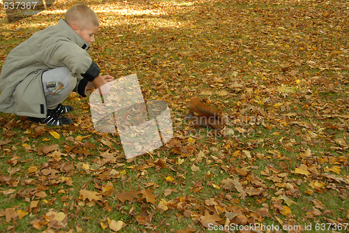 Image of teen boy and red squirrel