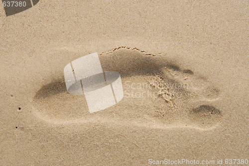 Image of Footprint in the sand on a beach