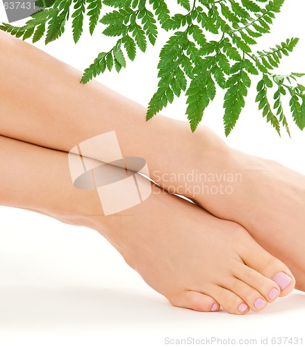 Image of female feet with green leaf