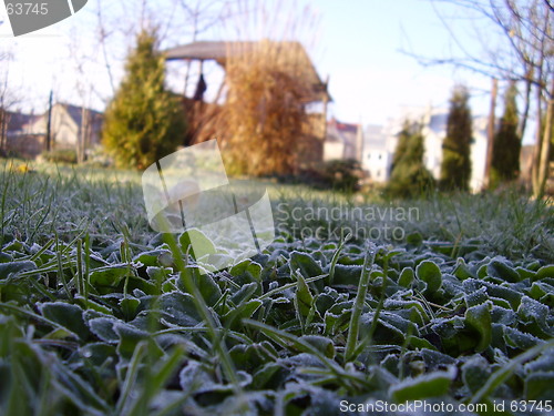 Image of white frost on the grass 2