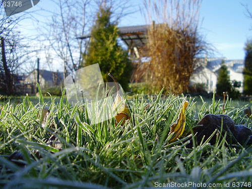 Image of white frost on the grass