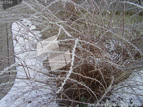 Image of winter coming
